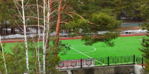 Футбольное поле Планетарий, ул. Социалистическая, 2/1