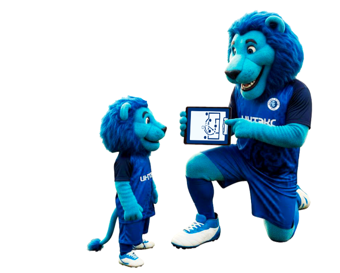 Программы BFA